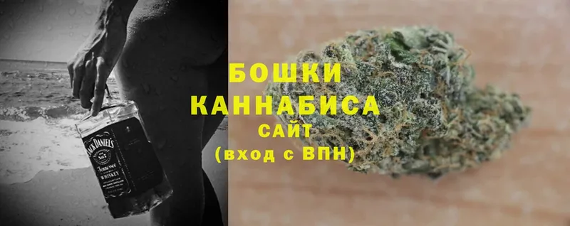 купить наркотик  Порхов  Каннабис OG Kush 